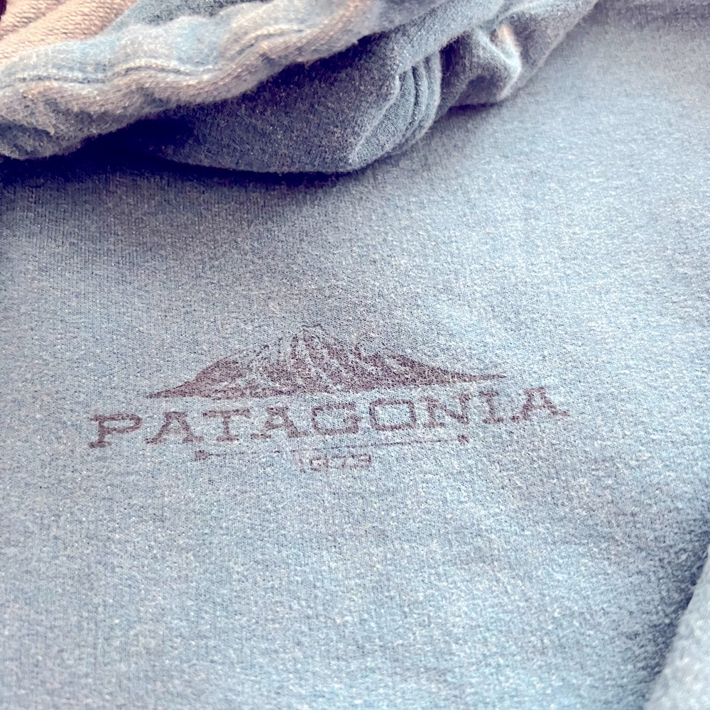 Men’s S Patagonia hoodie